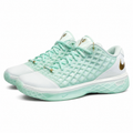 Nike Kobe 3 Low Protro "CHBL"